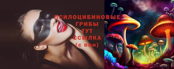 ECSTASY Бронницы