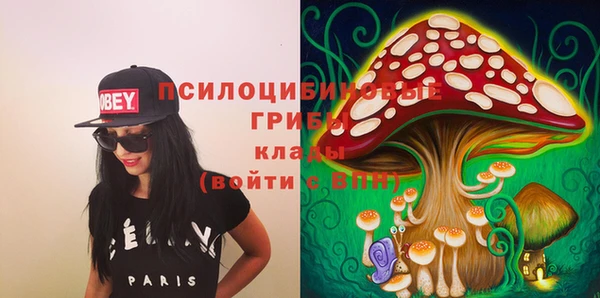 прущая мука Рославль