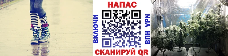 блэк спрут рабочий сайт  Семикаракорск  МАРИХУАНА OG Kush 